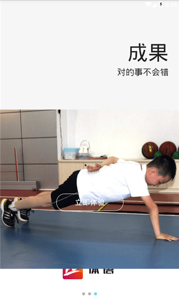 体语